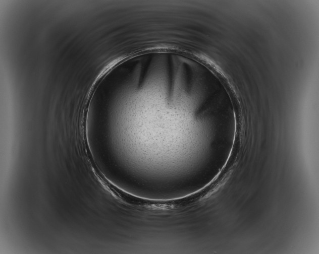 X0000086291137200704131542