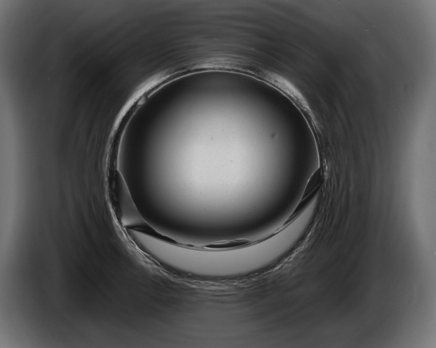 X0000086291138200704131542
