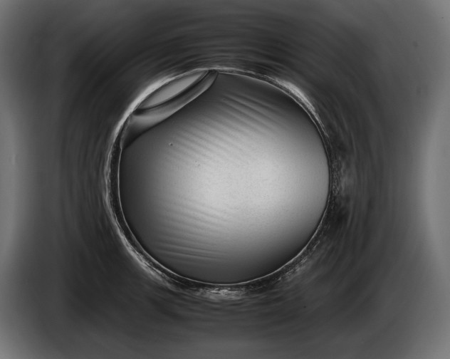 X0000086291139200704131542