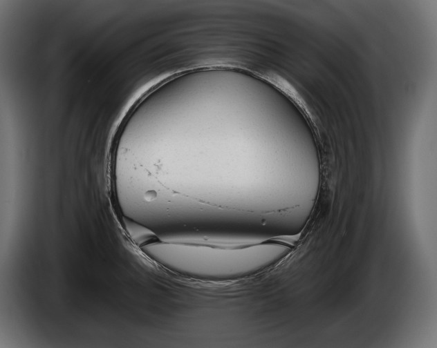 X0000086291140200704131542