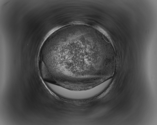 X0000086291141200704131542