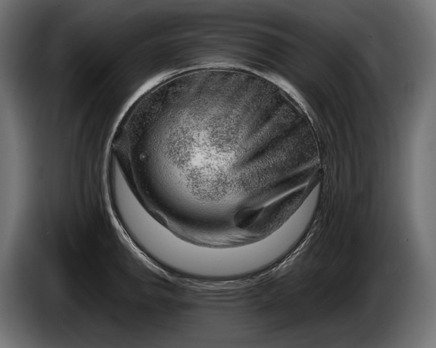 X0000086291142200704131542