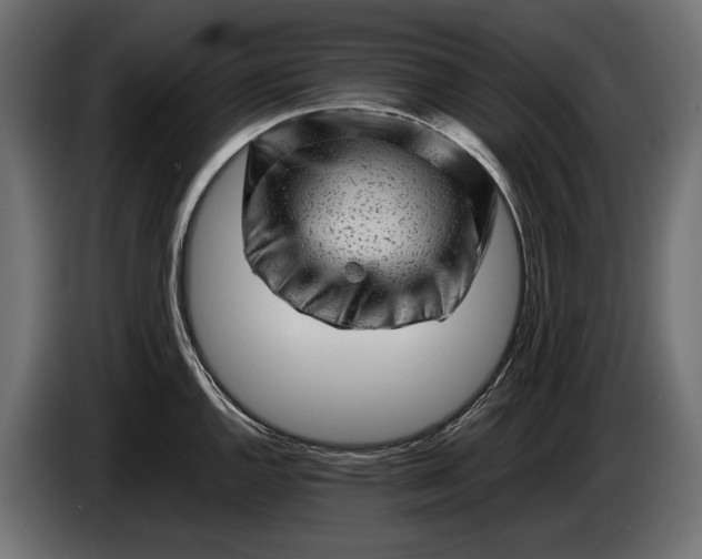 X0000086291144200704131542