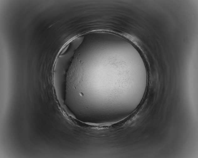 X0000086291145200704131542