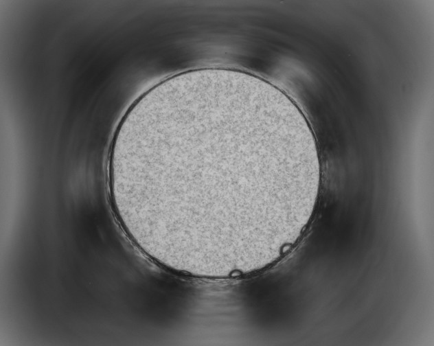 X0000086291150200704131542