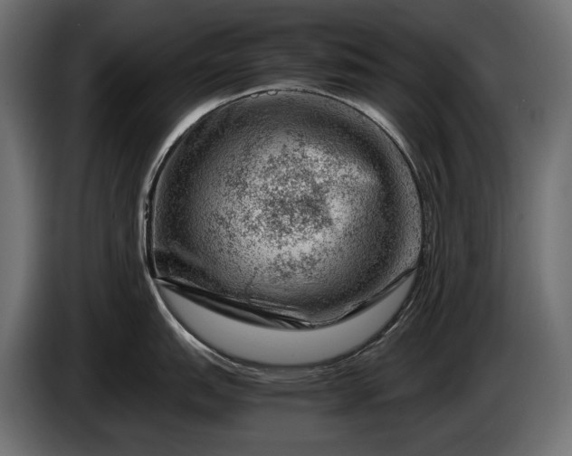 X0000086291151200704131542