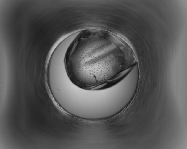 X0000086291152200704131542