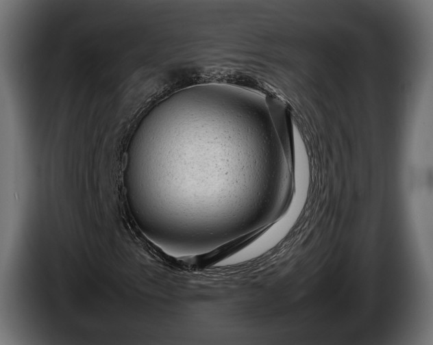 X0000086291153200704131541