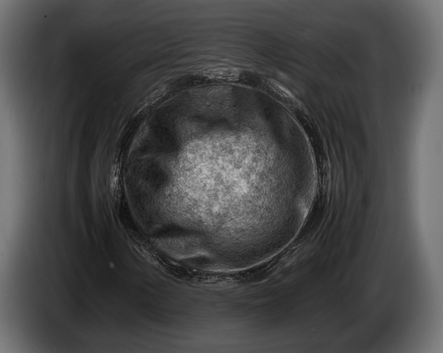 X0000086291154200704131541