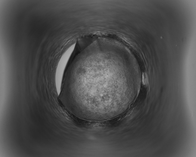 X0000086291155200704131541