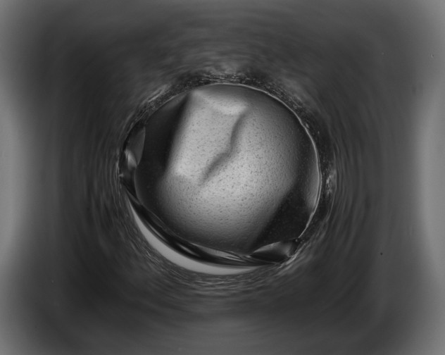 X0000086291156200704131541