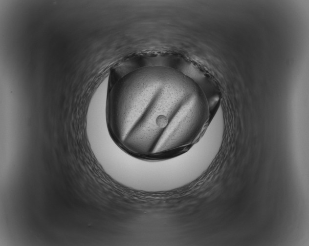 X0000086291157200704131541
