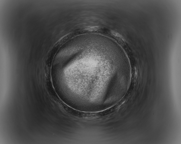 X0000086291158200704131541