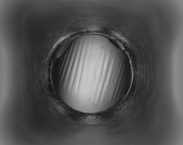 X0000086291160200704131541