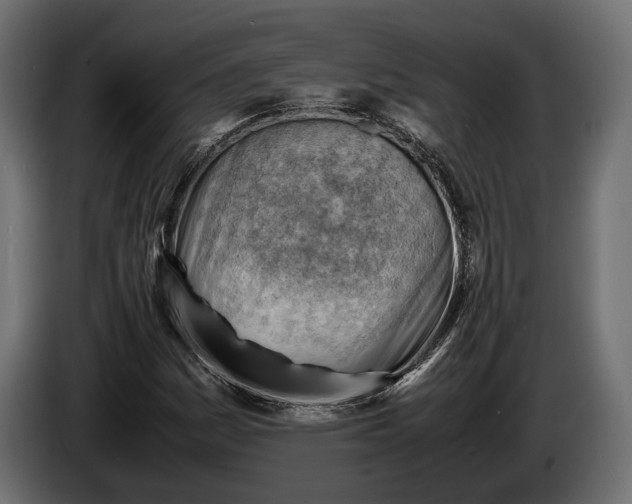 X0000086291161200704131541