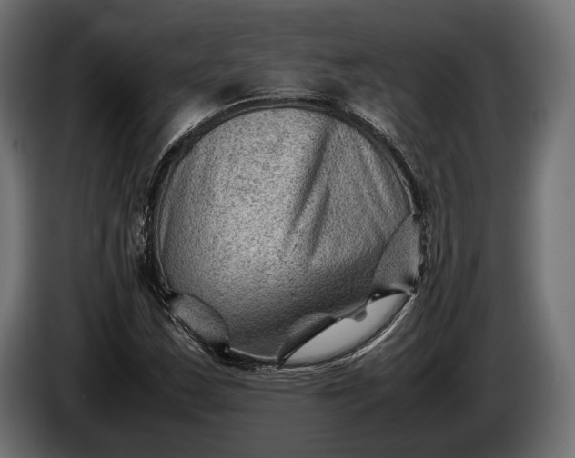 X0000086291163200704131541