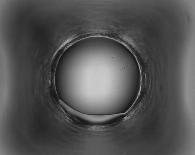 X0000086291165200704131541