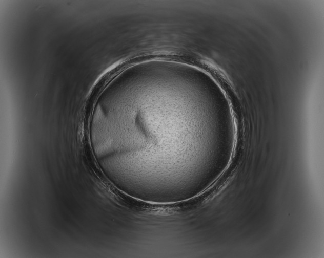 X0000086291166200704131541
