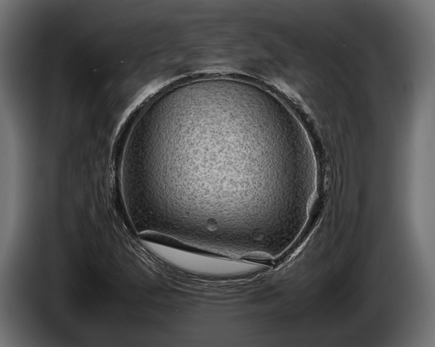 X0000086291167200704131541