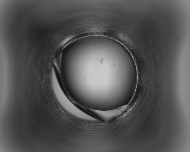 X0000086291169200704131541