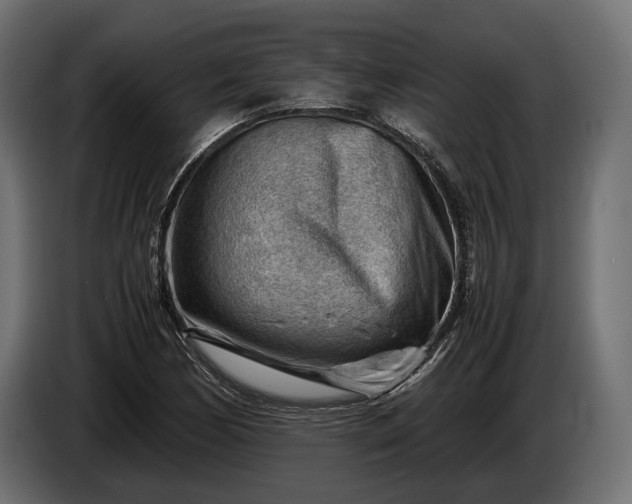 X0000086291170200704131541