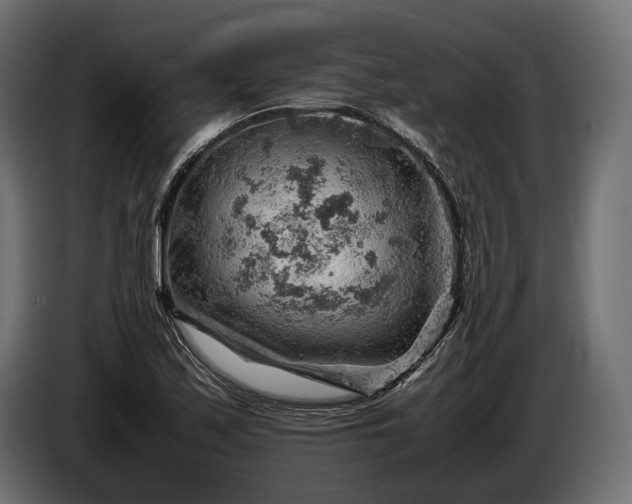 X0000086291171200704131541