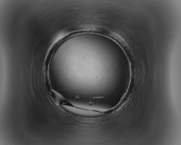 X0000086291172200704131541
