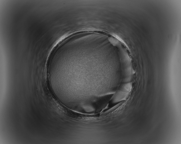 X0000086291173200704131541
