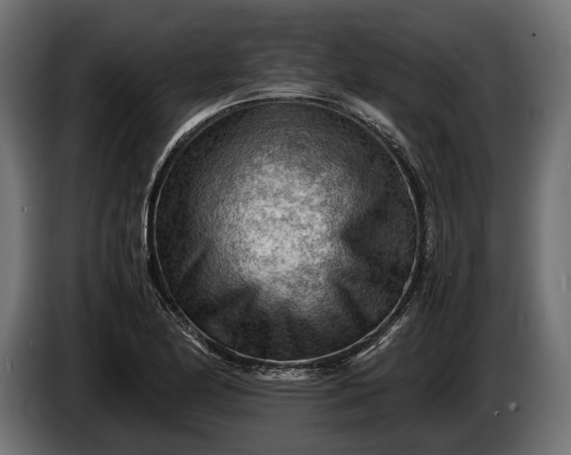 X0000086291174200704131541