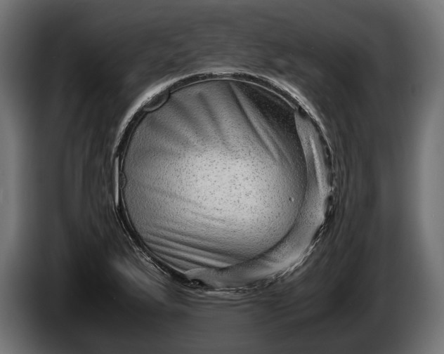 X0000086291175200704131541
