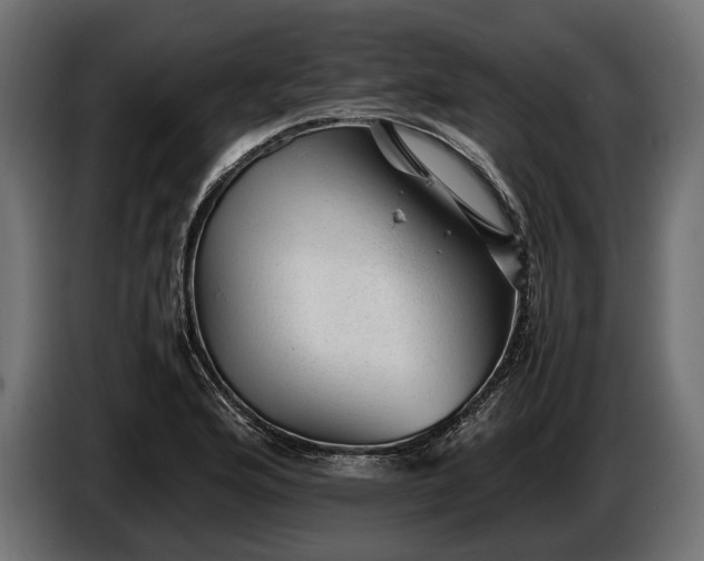 X0000086291176200704131541