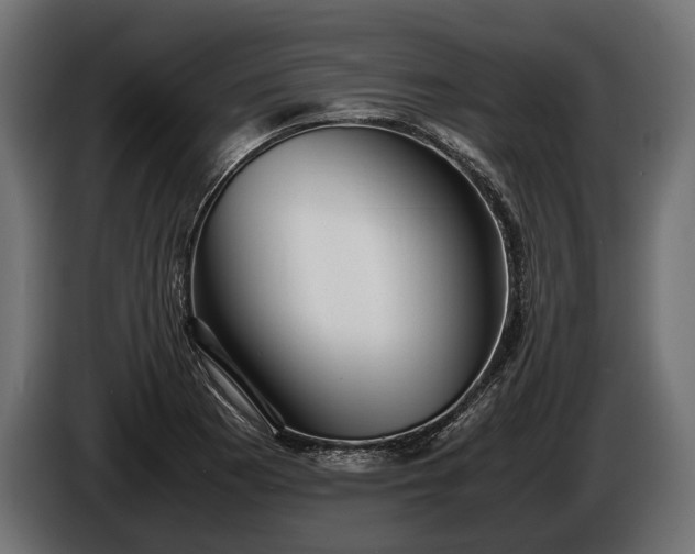 X0000086291177200704131541