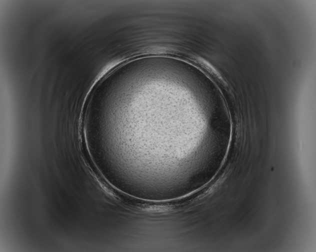 X0000086291178200704131541
