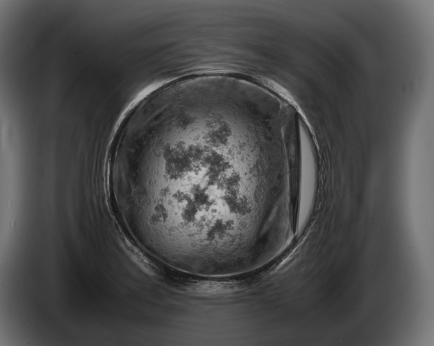 X0000086291179200704131541