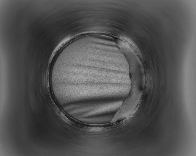 X0000086291180200704131540