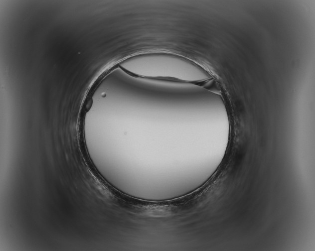 X0000086291181200704131540