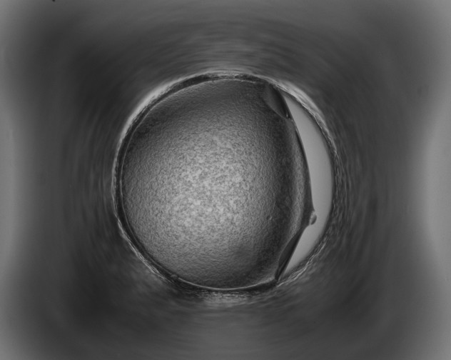 X0000086291183200704131540