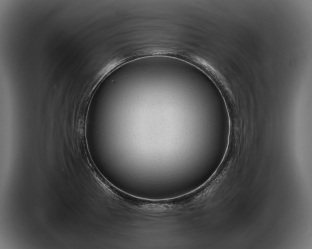X0000086291185200704131540
