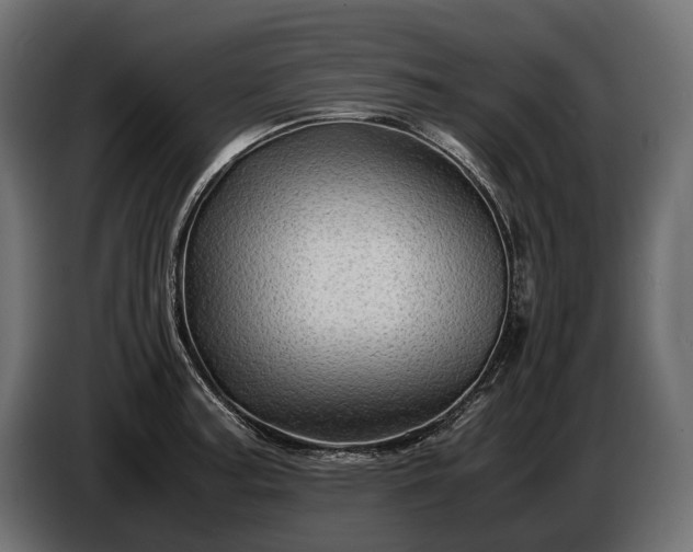 X0000086291187200704131540