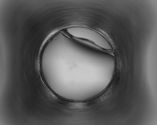 X0000086291188200704131540