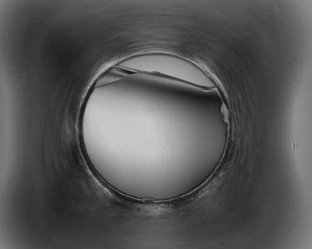 X0000086291189200704131540