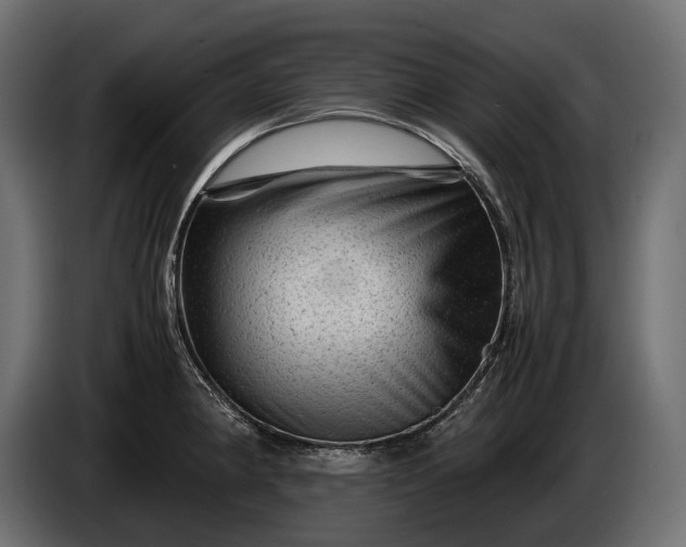 X0000086291190200704131540