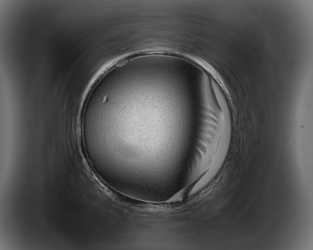 X0000086291191200704131540