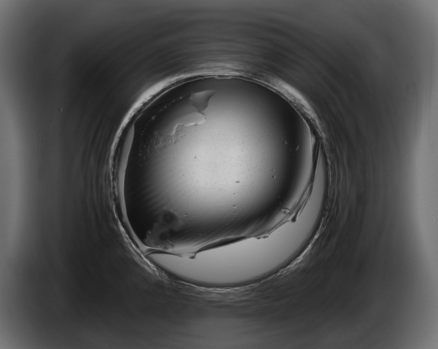 X0000086291192200704131540