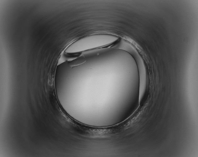 X0000086291193200704131540