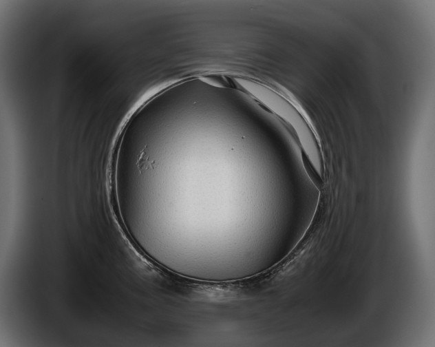 X0000086291195200704131540