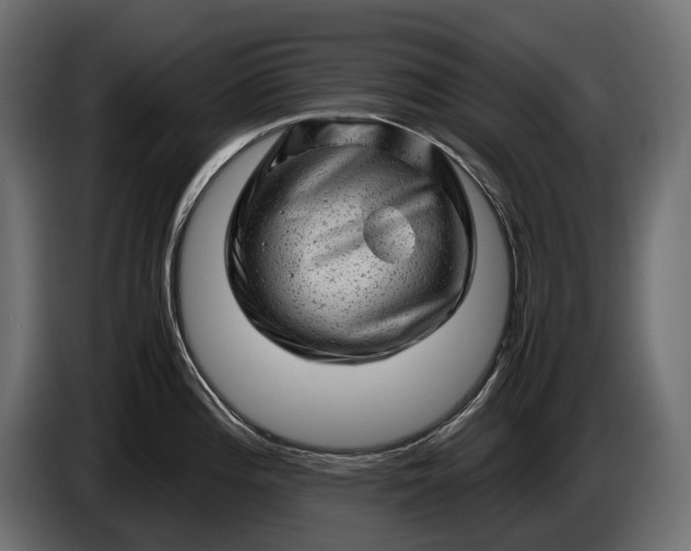 X0000086291196200704131540
