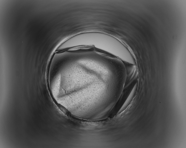 X0000086291197200704131540