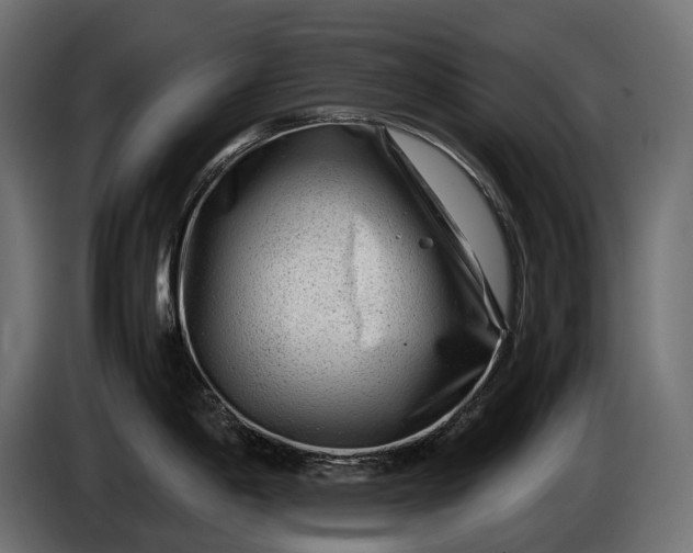 X0000086291198200704131540