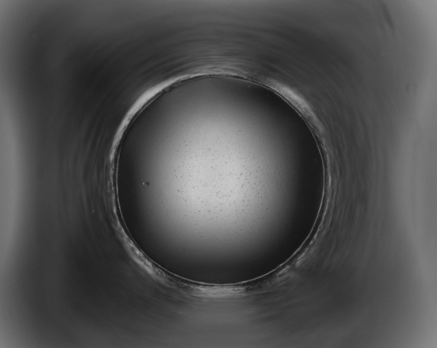X0000086291200200704131540